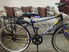 Phoenix Cycle Just like New 24" Size