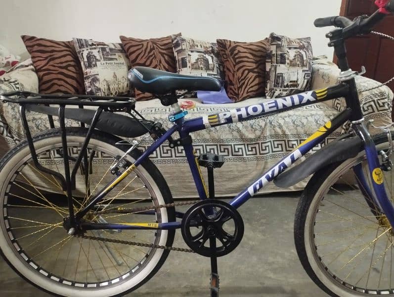 Phoenix Cycle Just like New 24" Size 0