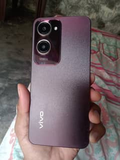 vivo