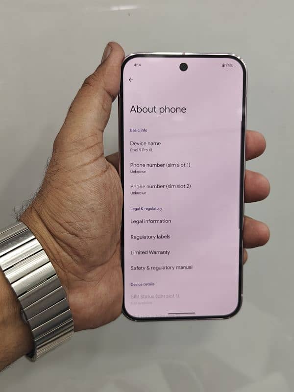 Google Pixel 9 Pro XL 5