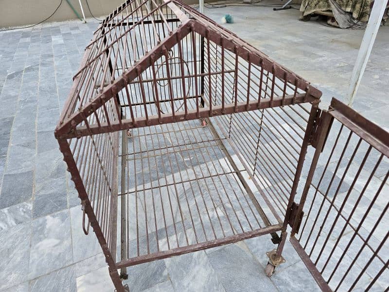 cage for hens or parrots 0