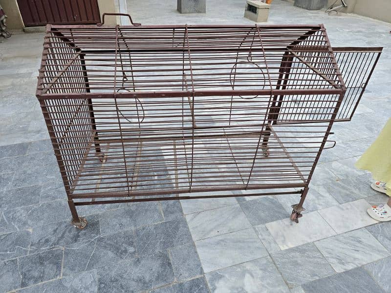 cage for hens or parrots 1