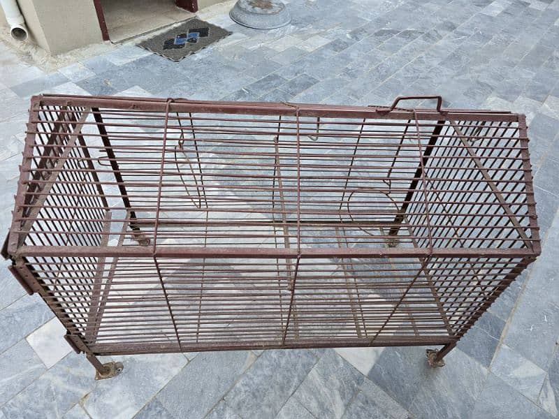 cage for hens or parrots 2