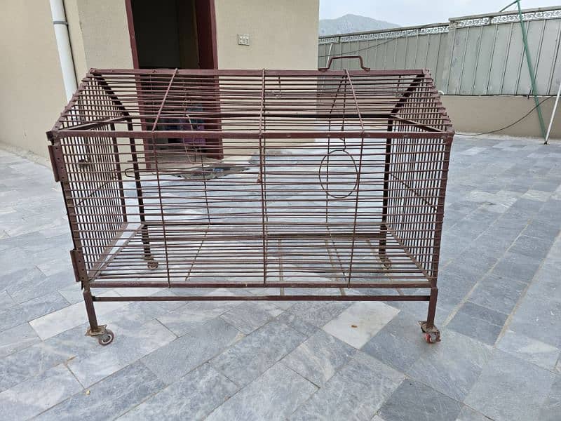 cage for hens or parrots 3