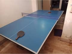 Lasani Foldable  large Table tennis