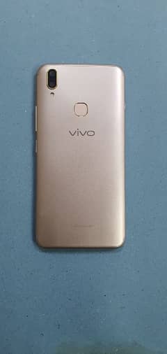 VIVO