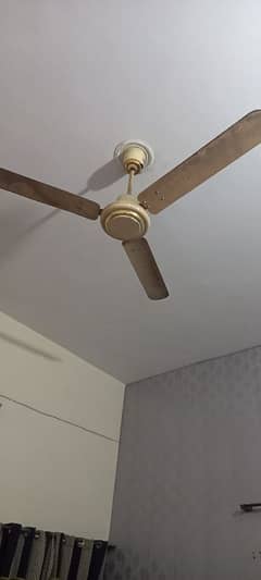 floor fan fast speed