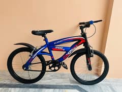 Caspian bicycle 20 size