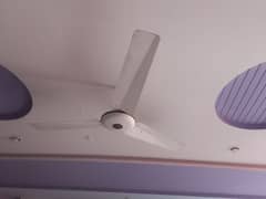 Celling Fans