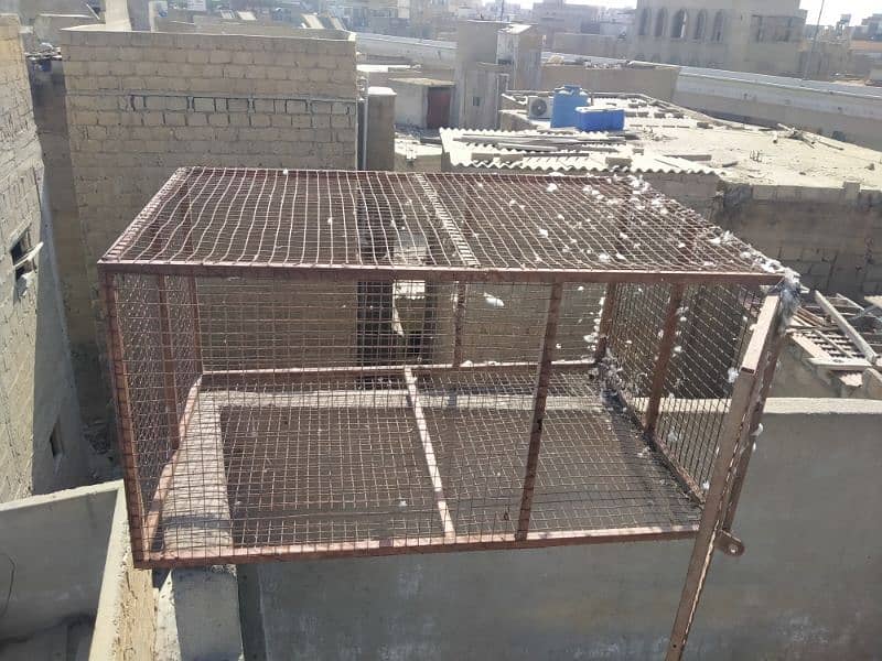 cage for sell 3