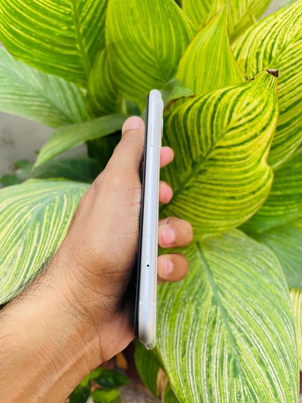 iPhone 11 FU 64gb NON PTA 1