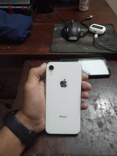 iPhone XR