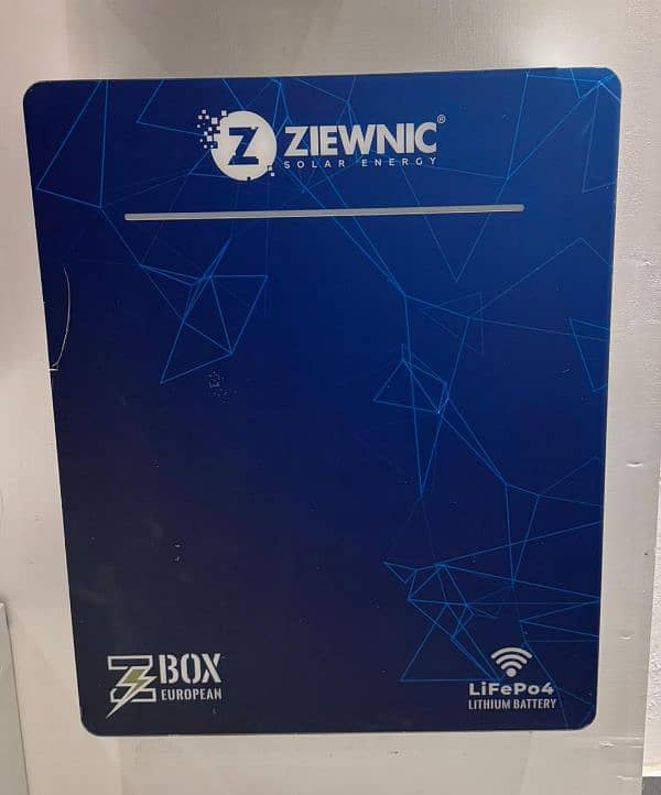 Crown/Ziewnic/zing/Dongjin/Inverex/24v/48v/100ah/200ah/Lithium battery 4