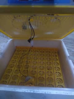 automatic incubator 56 eggs