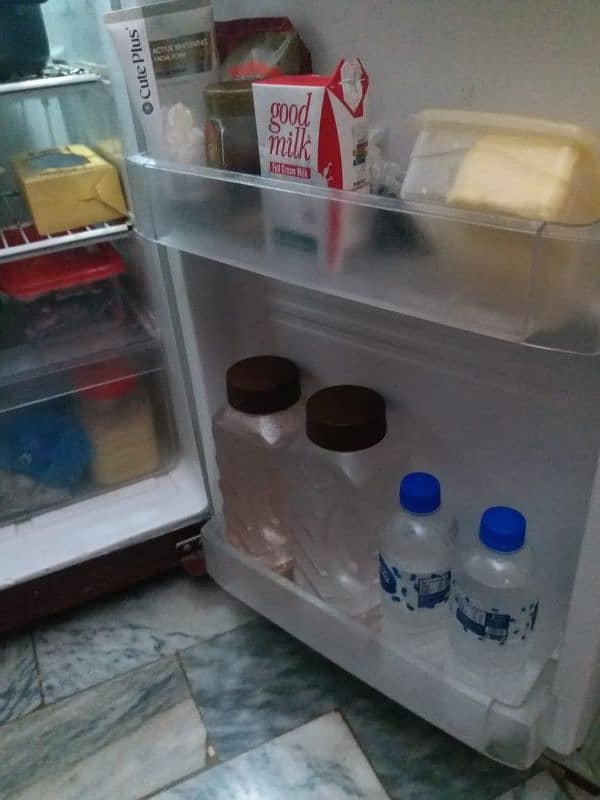 pel fridge 4