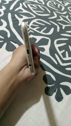 Oppo F3 plus