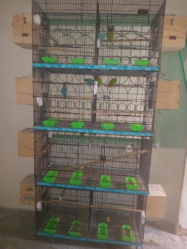 New cage h 8 portion wala h 7 box be sat h 0 meter h 0