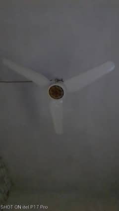 Royal ceiling fan  2 fans 14000  2 month used new condition