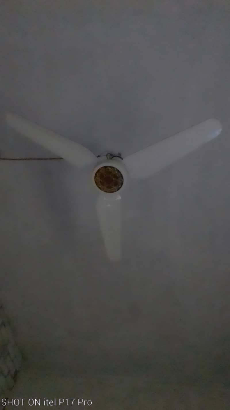 Royal ceiling fan  2 fans 14000  2 month used new condition 0