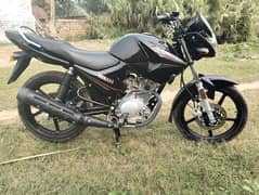 Yamaha YBR For sale 2024 Model Lush Condition