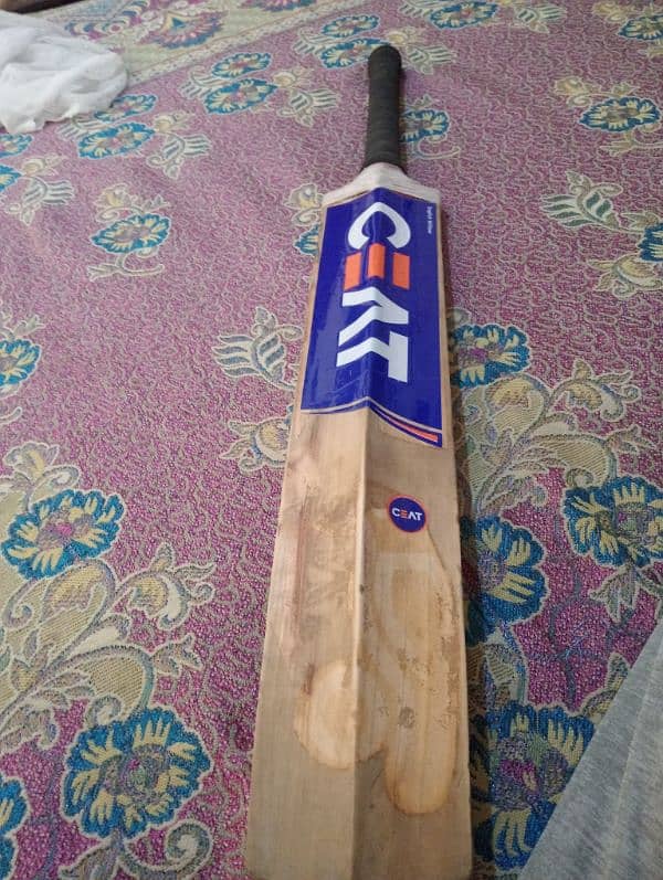 cricket hard ball kit 1