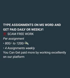 Online MS assignment writing job for males and females