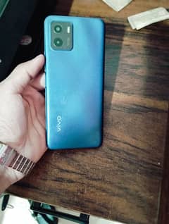 vivo