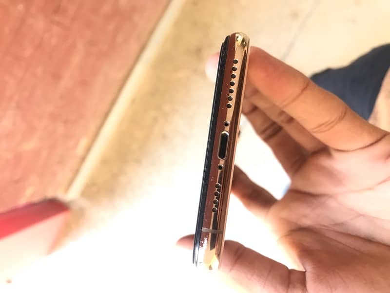 iPhone Xs Max 256 Gb 2