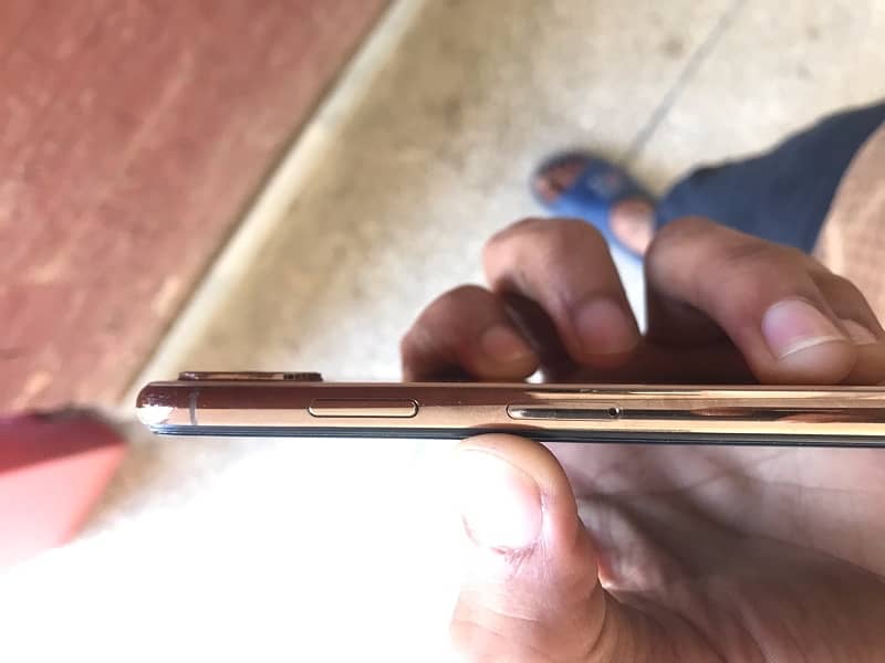 iPhone Xs Max 256 Gb 3