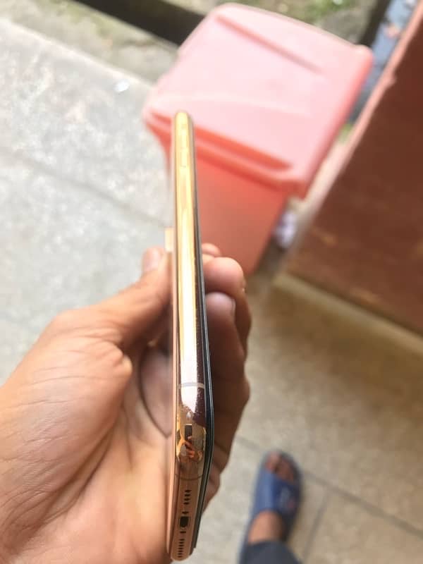 iPhone Xs Max 256 Gb 8