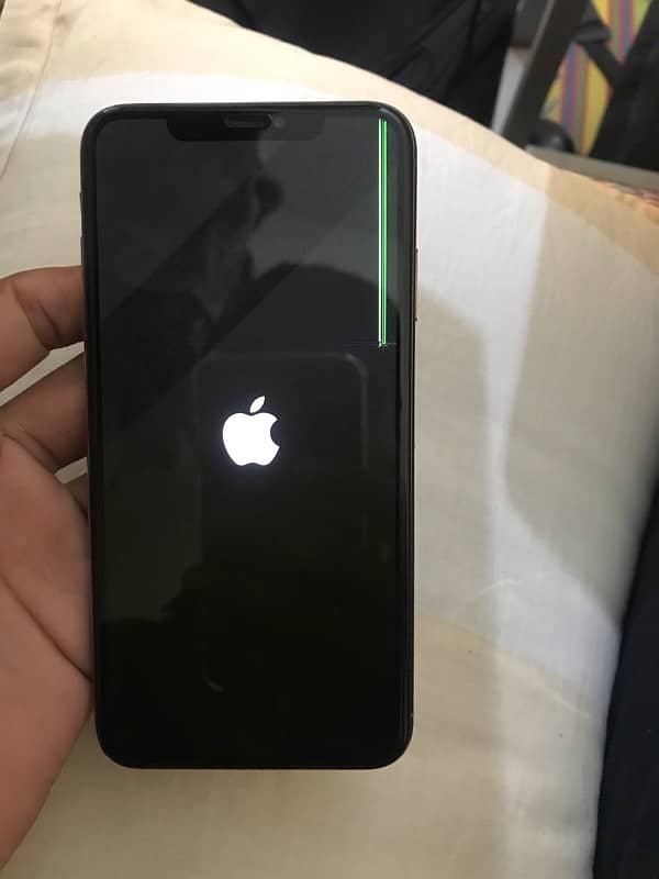 iPhone Xs Max 256 Gb 11