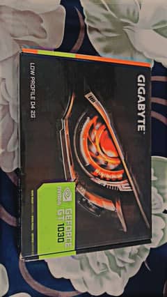 GT 1030 2GB Gigabyte Low Profile