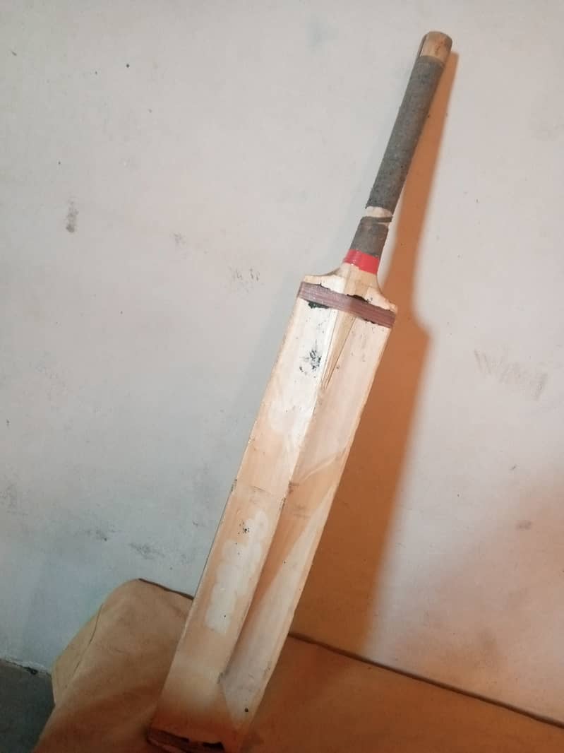 Hard boll bat CA vesion 5000 15