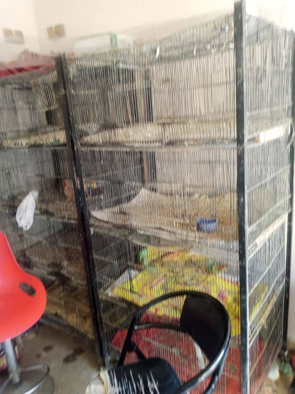 hen cage 4 floor all ok 1