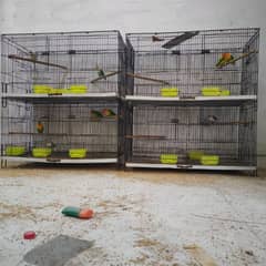 folding cage for sale