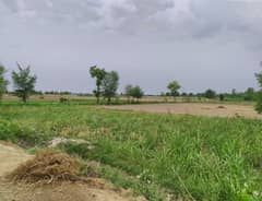 25 Acre Agriculture Land For Sale