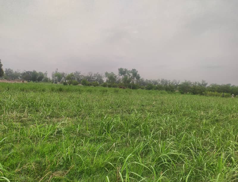 25 Acre Agriculture Land For Sale 6