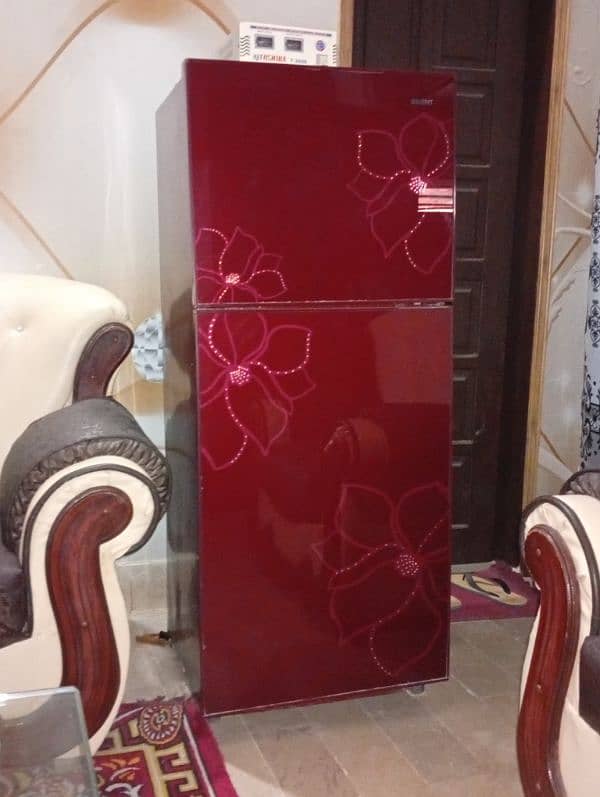 ORIENT GLASS DOOR REFRIGERATOR 9