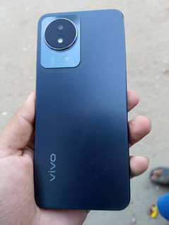 vivo