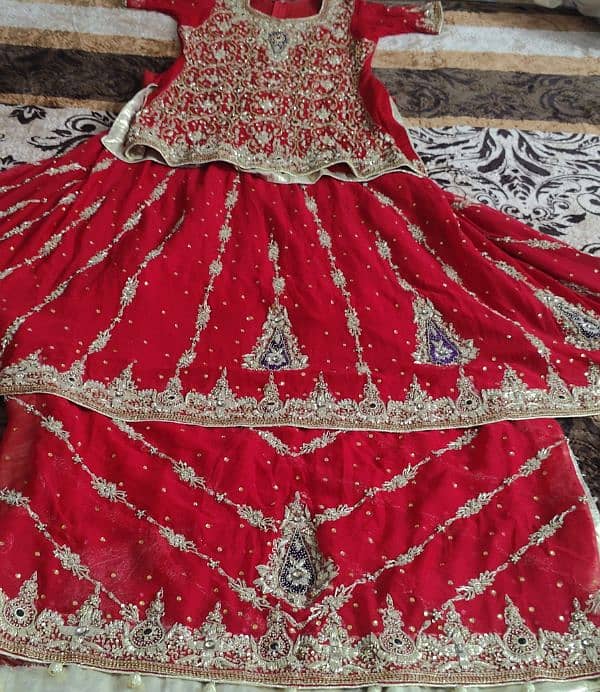 Bridle lehenga  for sale. 6