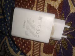 Vivo Charger