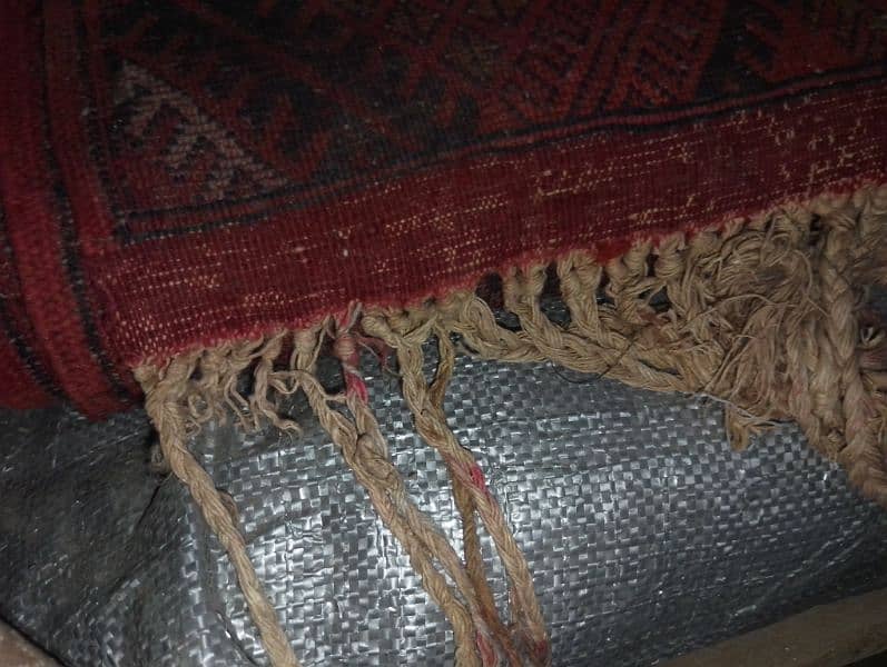 Afghani Carpets BRAND 6