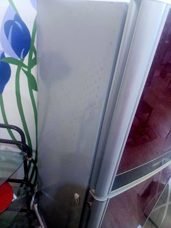 Glass door refrigerator medium 1