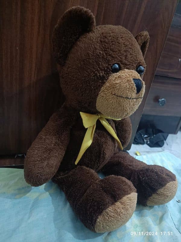 MR been teddy bear 1