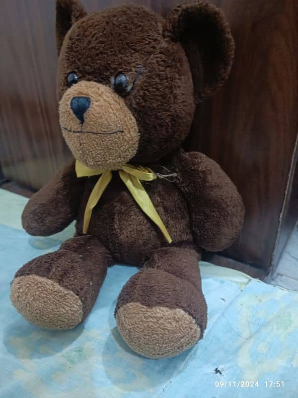 MR been teddy bear 2