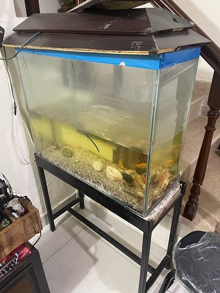 7 fishes with tank 2