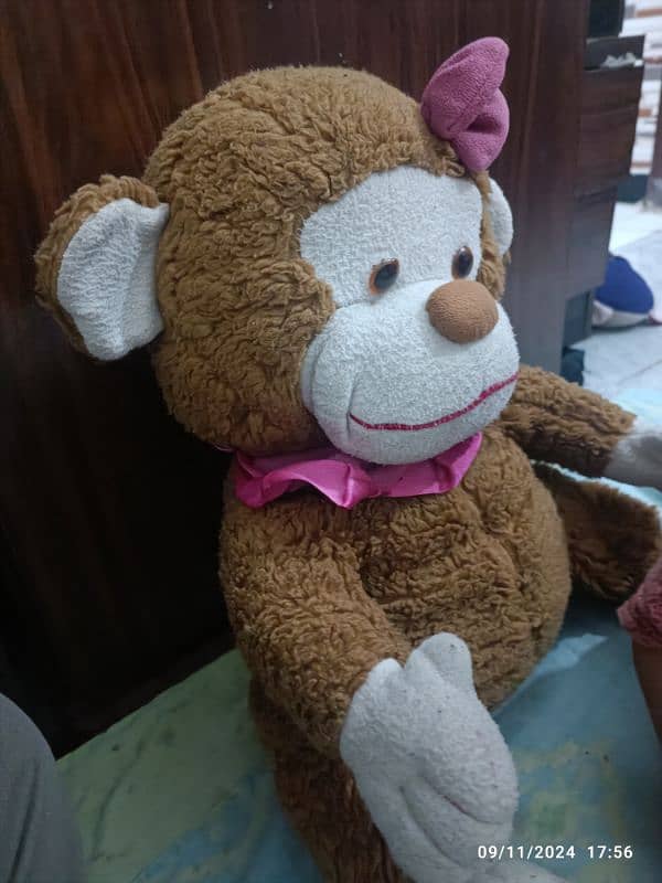 big monkey for sale 0