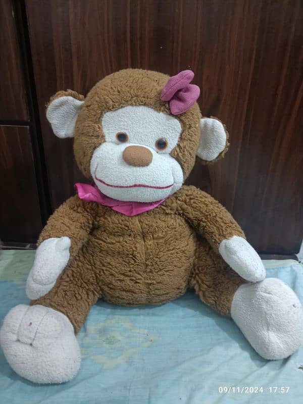 big monkey for sale 1