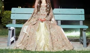 Walima Maxi/bridal Dress/Wedding Dress/bridal lehnga/Maxi Walima dress