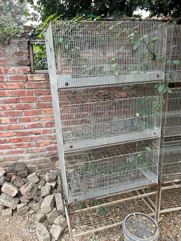 Hens / Parrots Or Rabbits Cage. 1